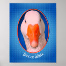 Search for animal quotes posters For her