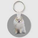 Search for pom dog key rings Puppies