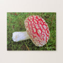 Search for mushroom puzzles Fly agaric