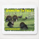 Search for wild turkey electronics Hunting