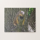 Search for silly photography Animals