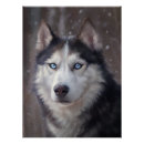 Search for siberian husky posters Winter