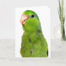 Search for bird pet sympathy cards Death