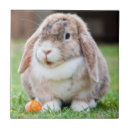 Search for ears tiles Rabbit