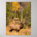Search for cathy posters Colorado