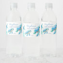 Search for turtle labels Ocean