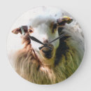 Search for ewe art Farm animal