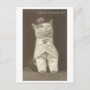 Search for smart postcards Cat