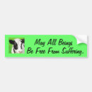 Search for siddhartha bumper stickers Vegan