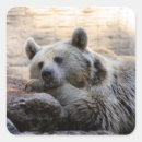 Search for daydreaming stickers Nature
