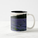 Search for lavender fields mugs France