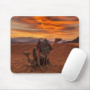 Search for camel mouse mats Egypt