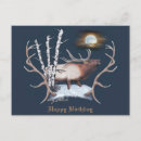 Search for bull elk postcards Wildlife