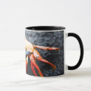 Search for galapagos mugs Crab