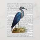 Search for herons postcards Animals