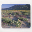 Search for protects mouse mats White