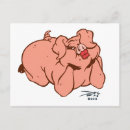 Search for hogs postcards Pigs