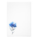 Search for cornflower art Nature