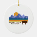 Search for grand christmas tree decorations Mountains