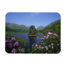 Search for scotland magnets Loch