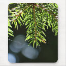 Search for pine needle mouse mats Nature