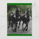 Search for draughts postcards Percheron