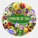 Search for thoughts of you stickers Pansies