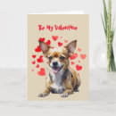 Search for chihuahua valentines day cards Animal