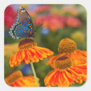Search for papilio stickers Butterfly