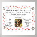 Search for pet paws posters For pets
