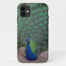 Search for wild peacock iphone cases Bird