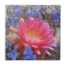 Search for blooms tiles Beautiful