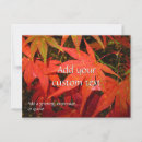 Search for red wood postcards Leaves