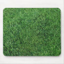 Search for ecological electronics Background