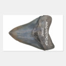 Search for shark tooth stickers Teeth