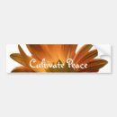 Search for sun bumper stickers Orange