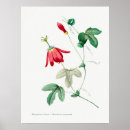 Search for passionate art Flowers