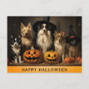 Search for cute witch postcards Dog