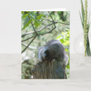 Search for stump cards Animal