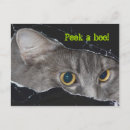 Search for peek a postcards Tabby