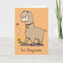 Search for alpaca cards Illustration