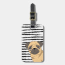 Search for pug accessories Pattern
