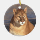 Search for cougar christmas tree decorations Cat