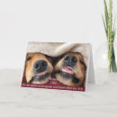 Search for pups cards Golden retriever