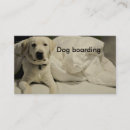 Search for kennel business cards Boarding