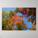 Search for oak tree posters Leaves