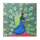 Search for peacock green tiles Peacocks