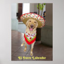 Search for perro posters Dog