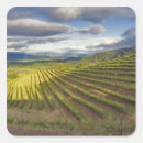Search for viticulture stickers Agriculture