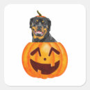 Search for rottweil stickers Dog